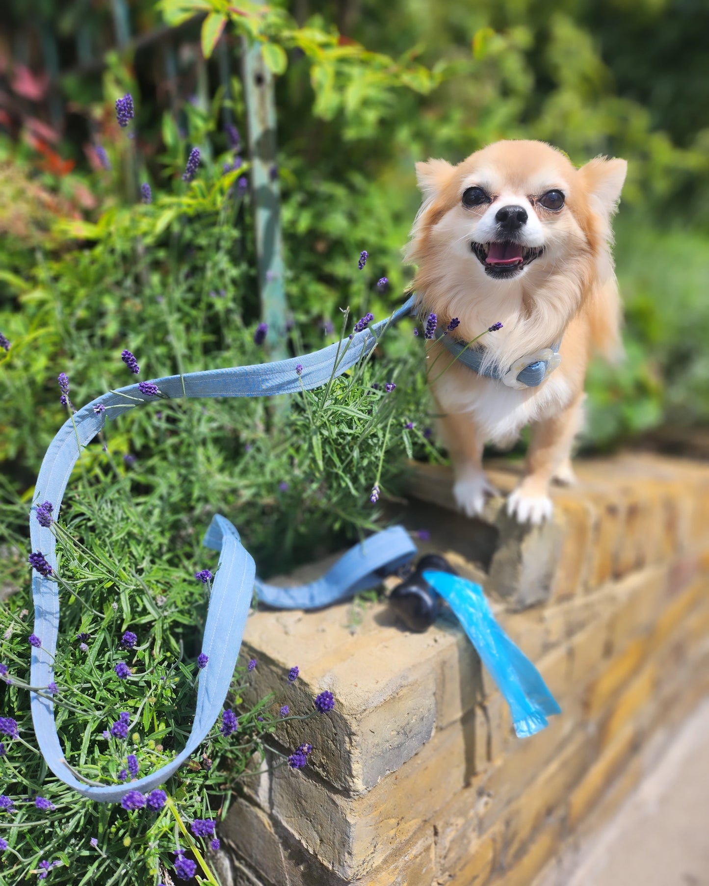 Cotton Denim Pet Leash 129cm