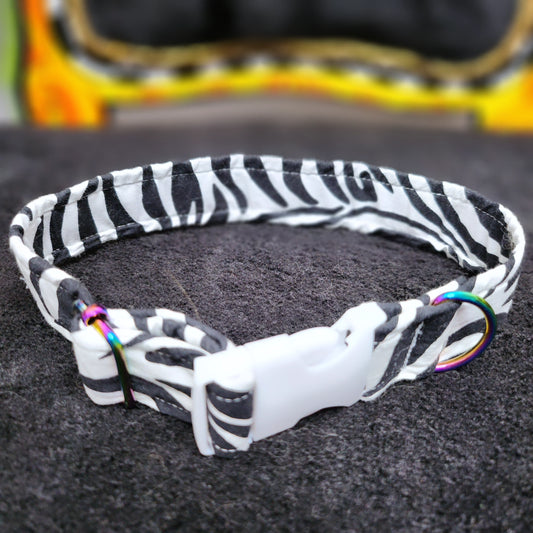 Cotton Zebra Print Pet Collar With Rainbow Metal Hardware