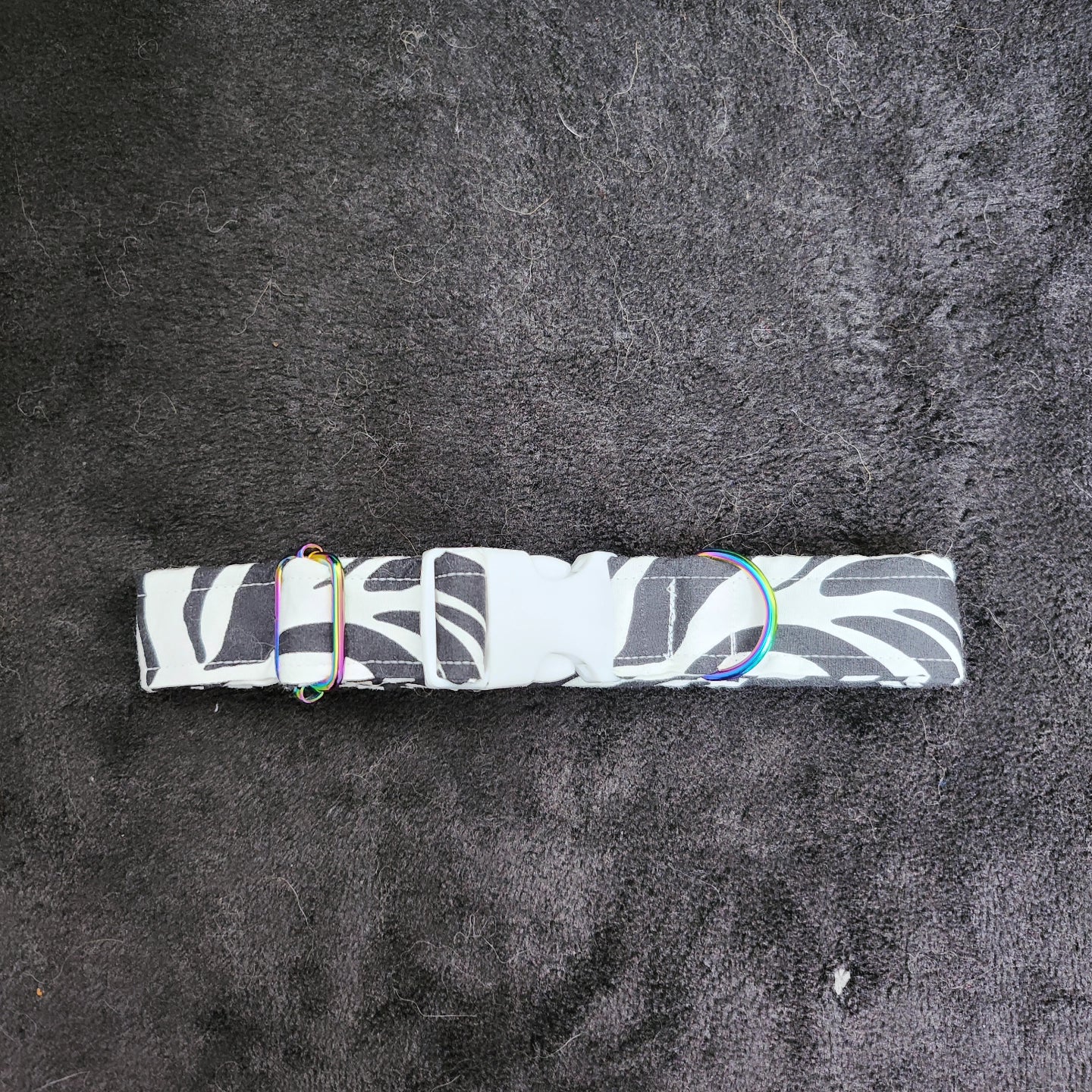 Cotton Zebra Print Pet Collar With Rainbow Metal Hardware